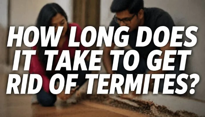 how long does it take to get rid of termites feature image with couple inspecting termite damage on floor