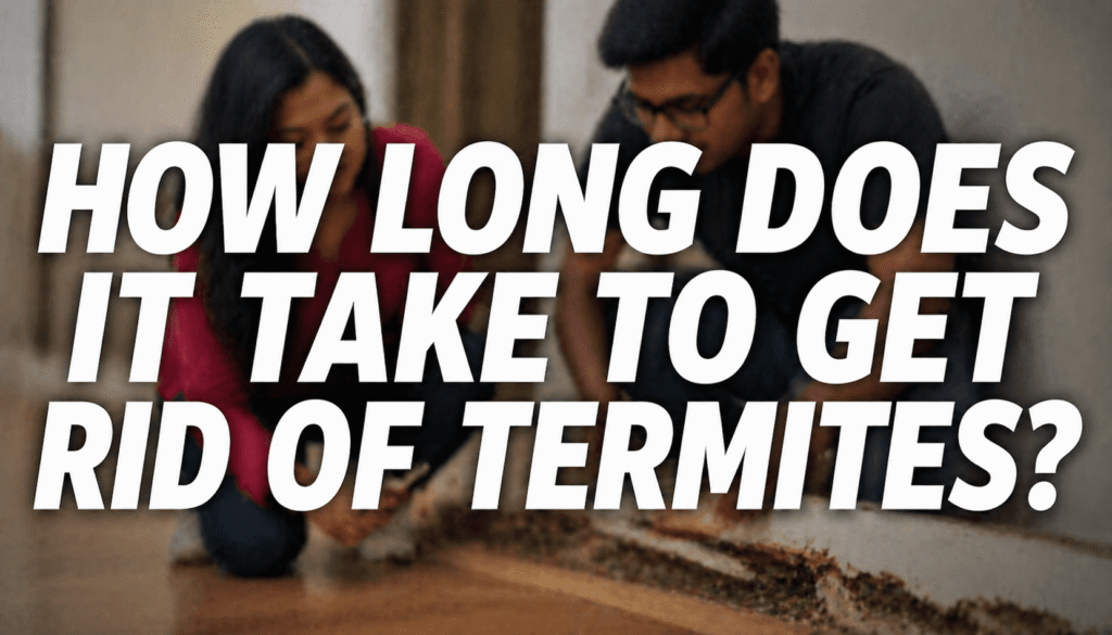 how long does it take to get rid of termites feature image with couple inspecting termite damage on floor